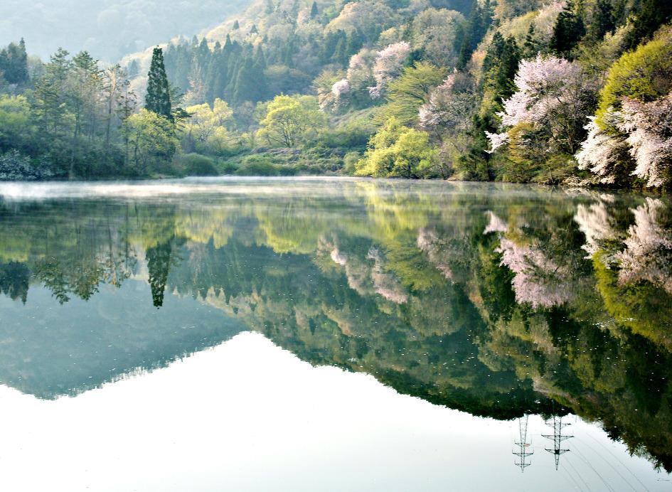 벼슬자리가 없는 것을 근심할 것이 아니라 그 자리에 앉을 만한 능력을 근심하라. -공자 #세량지