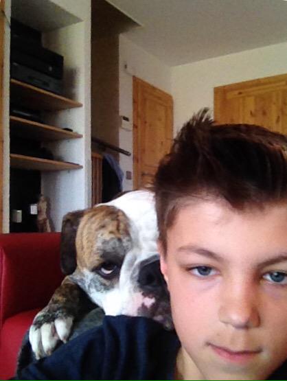 gelotrix's tweet image. 