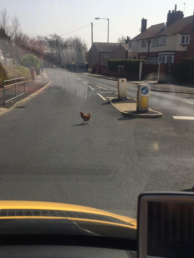 LilySplitty's tweet image. Ha ha just seen in westhoughton .. Why I ask