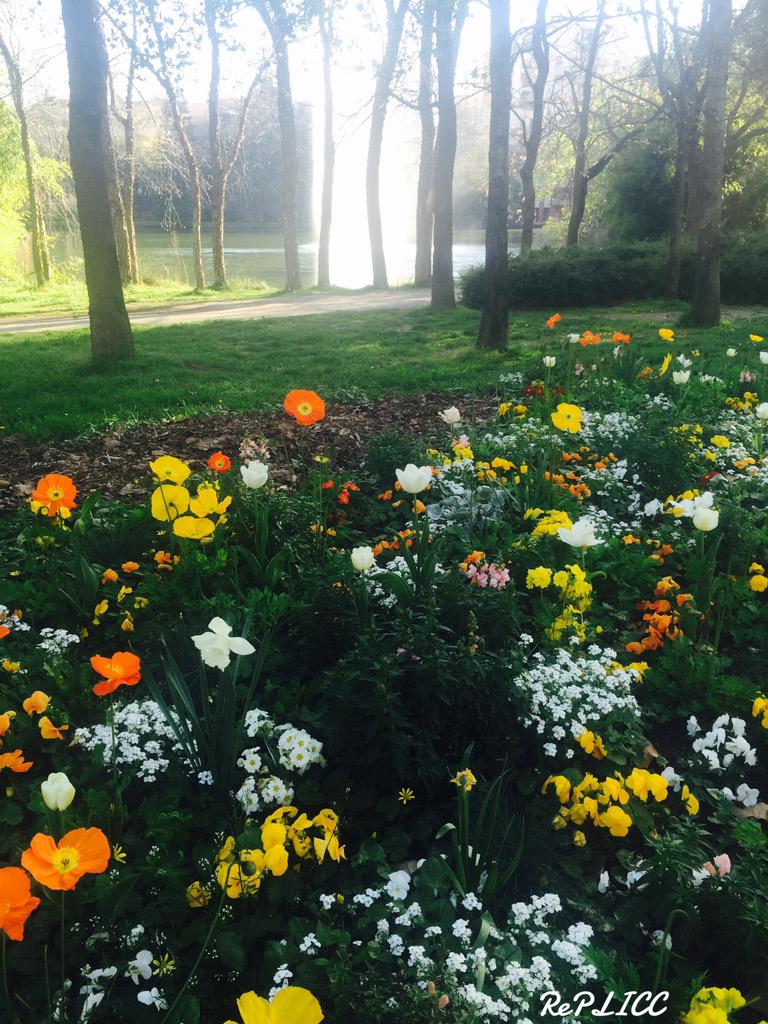 Plicc55's tweet photo. Hello #Spring, Hello #Toulouse: rebirth, rejuvenation, renewal, resurrection and regrowth. #LightConeTheShift http://t.co/25E0hjB5Zo