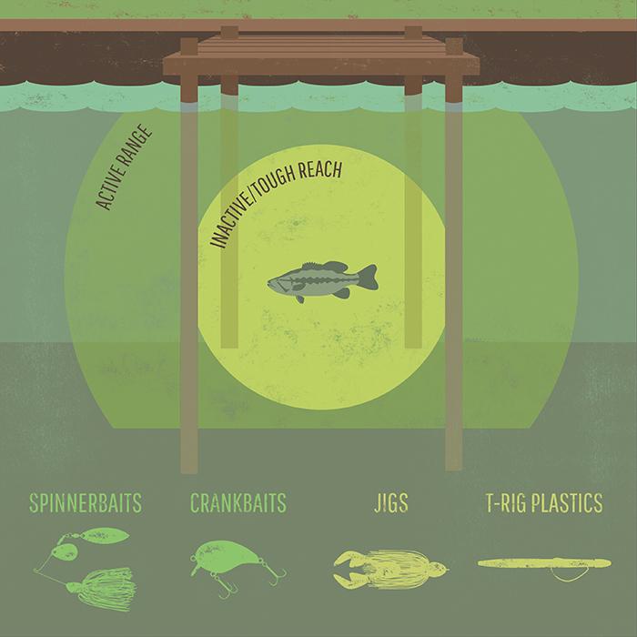 AnglesandLines's tweet photo. "Dock Fishing 101"
http://t.co/AQVokmmRHu 
Tips and tricks from the brothers behind @RTDfishing http://t.co/52sYktqTzx