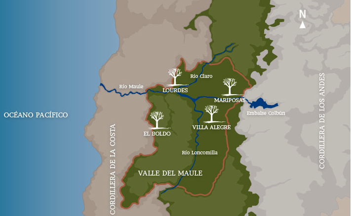 PaloAltoWinery's tweet photo. Estos cuatro viñedos del #ValleDelMaule son la cuna de los buenos vinos que llevas a tu hogar http://t.co/3NRI6DUIjF http://t.co/AM4NRoJDtL