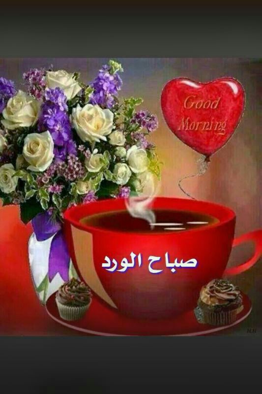 mooaed (@mooaedaoda) on Twitter photo 