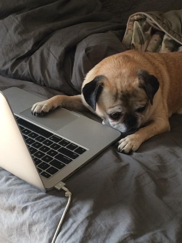drewmutt tweet media