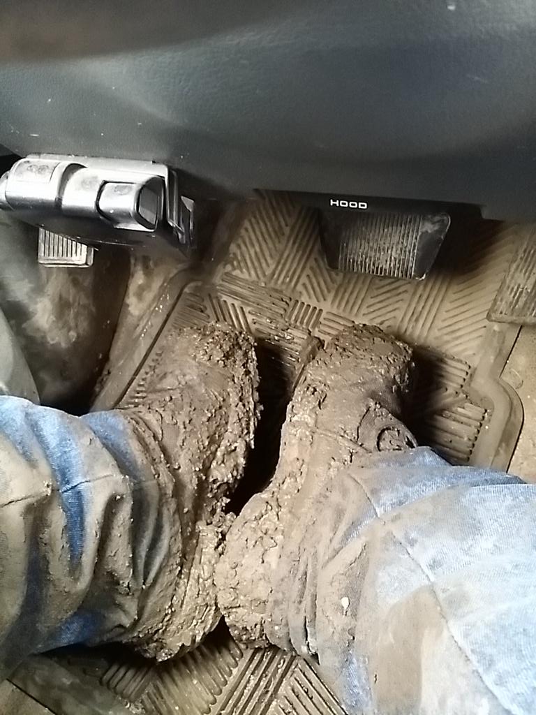joebailey2424's tweet photo. @RYANLANDSCAPING @RedWingShoes @Lakeridgecon @BackyardPatios @AllAccessCo
#BootsDeepIn http://t.co/14xjQx5sqJ