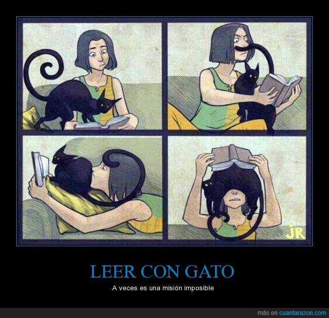 cuantarazon's tweet photo. LEER CON GATO http://t.co/BIxBcDRCAc http://t.co/i8xmu4jF3y