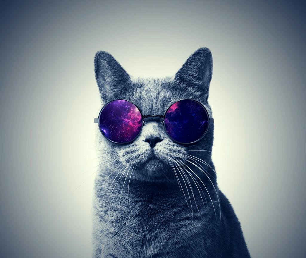 S5Dwallpapers's tweet photo. http://t.co/UXmU3W3dqh