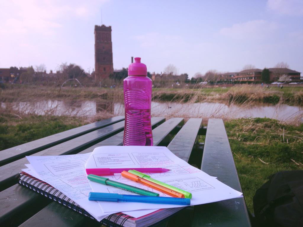 TraceyJPallett's tweet image. #OperationBounceBack back at the river, this time for study :)