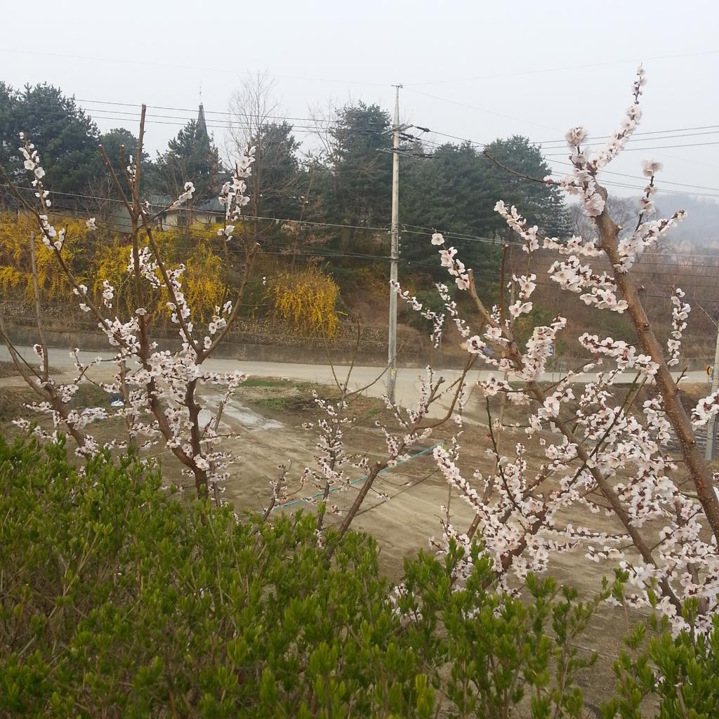 Seokin_Lee's tweet photo. 집앞 마당에서 찍은거 ㅋㅋ http://t.co/TKasNBQyS1