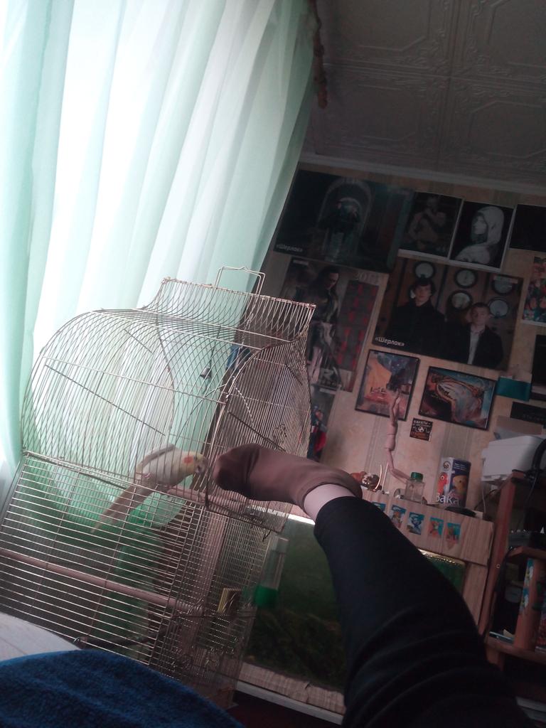 Natali4320's tweet photo. Смотри,что я делаю с Симбой ! http://t.co/qMKSpTCCn4