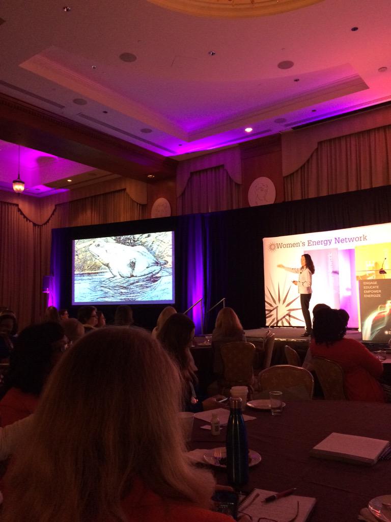 CPevny's tweet photo. @CPevny: WEN 2015 Conference Day 1: Marilyn Tam: horse or frog?  #wen2015 http://t.co/Avg5ZgIEur