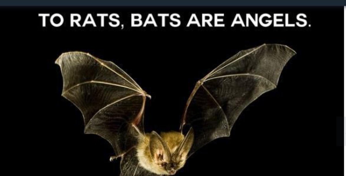 karmic9's tweet image. Ha! RT @nr1woman: