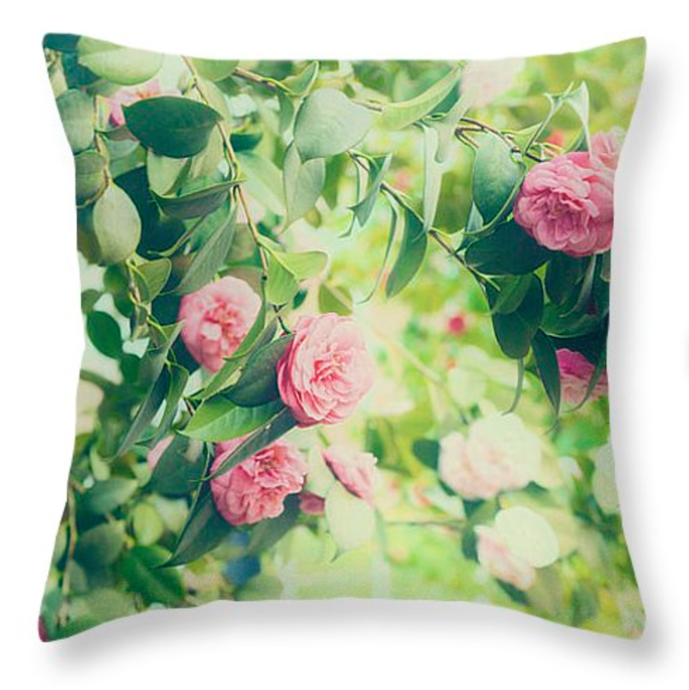 campyphotos's tweet photo. Spring is here http://t.co/Wcbl5LiFKB  #vintagehome #pillows #cushions Tax Time Sale $5 off thru 4/16 code RSYBMN http://t.co/0tzwEqj36E