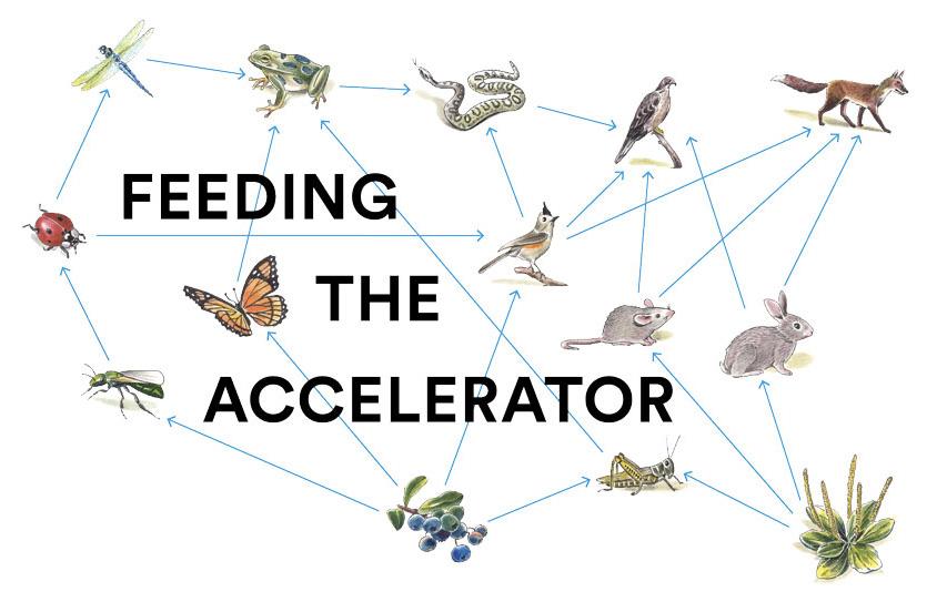 foodtechconnect's tweet photo. The @USAPavilion2015 @2015_expomilano Launches #foodstartups Accelerator.Learn more in our Q&amp;A http://t.co/mXI0RcMW8i http://t.co/RRTVcRyAMR