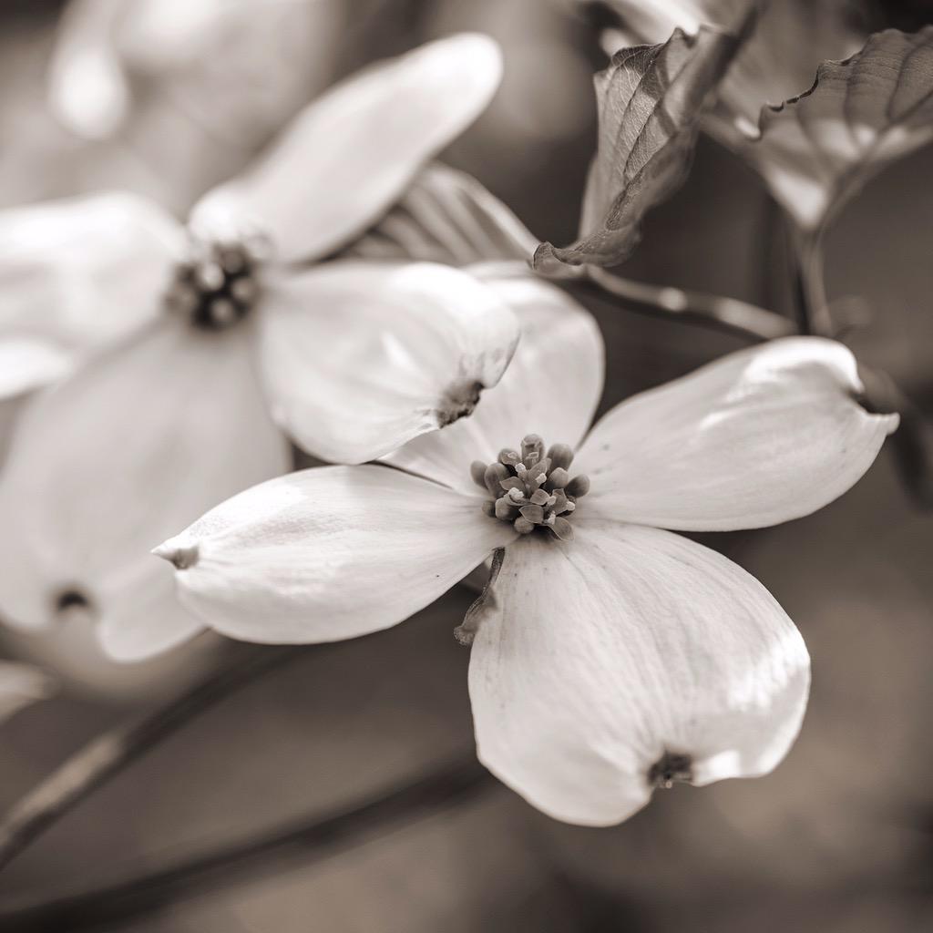 Heather Durham tweet media