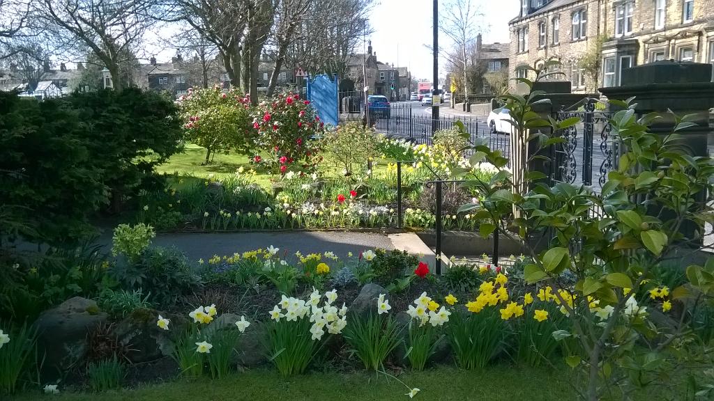 SuperDupaRodney's tweet photo. @Tresco_Times As we prepare  for judging in Britain in  bloom Calverley would like to wish Tresco  success  in 2015 http://t.co/8bGxrMv87S