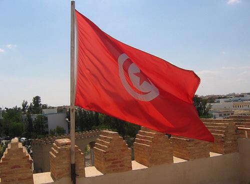 DianaHaddad's tweet photo. شاركوا معنا بحملة #زوروا_تونس #visit_tunisia لدعم السياحة في #تونس الخضراء الجميلة #رتويت http://t.co/UyiZxogGRA
