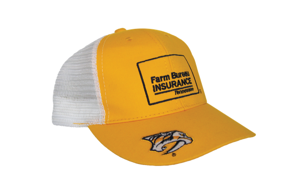 preds hat