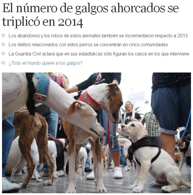 AnaBangBang's tweet photo. La crueldad no tiene limites.
Pongamos fin a esta situación, por favor.
#SOS #galgos http://t.co/u6MxAQP5LF