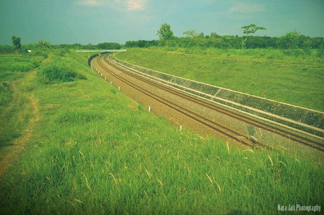 onizuka10_'s tweet image. @NikonIndonesia &quot;Jalur Kereta di Tengah Suasana Hijau Pedesaan&quot; #railroad #landscape #westprog #jogja