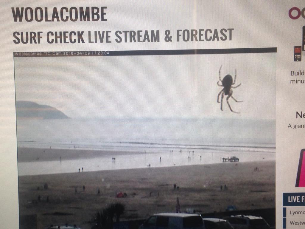 rogerwhipp's tweet photo. Attack of the giant spiders Trev @eyeballsurf #arachnophobia #woolacombe http://t.co/7vAyI4mWcA