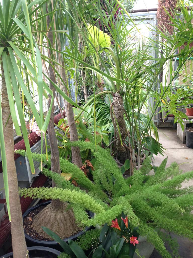 HilltopIU's tweet photo. HELLO SPRING! ☀️🌿 Welcome this beautiful season the right way! #SpringIntoGardening is a FREE event APRIL 18 1-4pm 🌺🌞 http://t.co/bt9CB95JDh