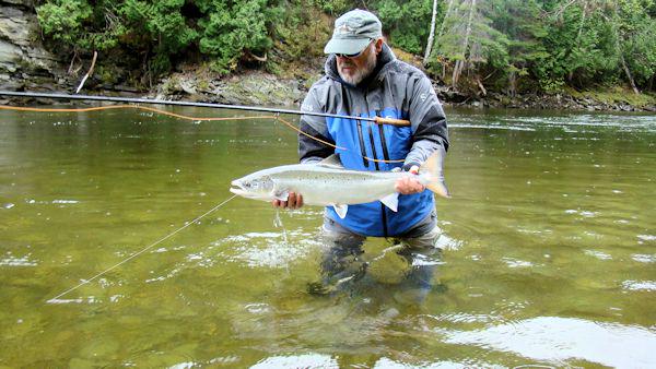 QuebecSporting's tweet image. York River - June 7th
#catchandrelease #guides #GaspeQuebec #QuebecSporting #AtlanticSalmon #TigerGhost #ASF