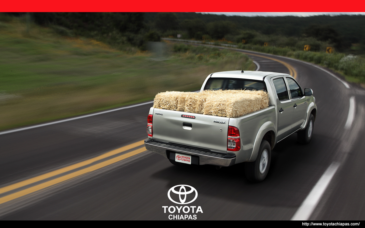 Hecha para todo tipo de trabajo, #Toyota #Hilux Gran capacidad de carga de casi una tonelada.

<a href="/TuxRecomienda/">TuxtlaRecomienda</a>