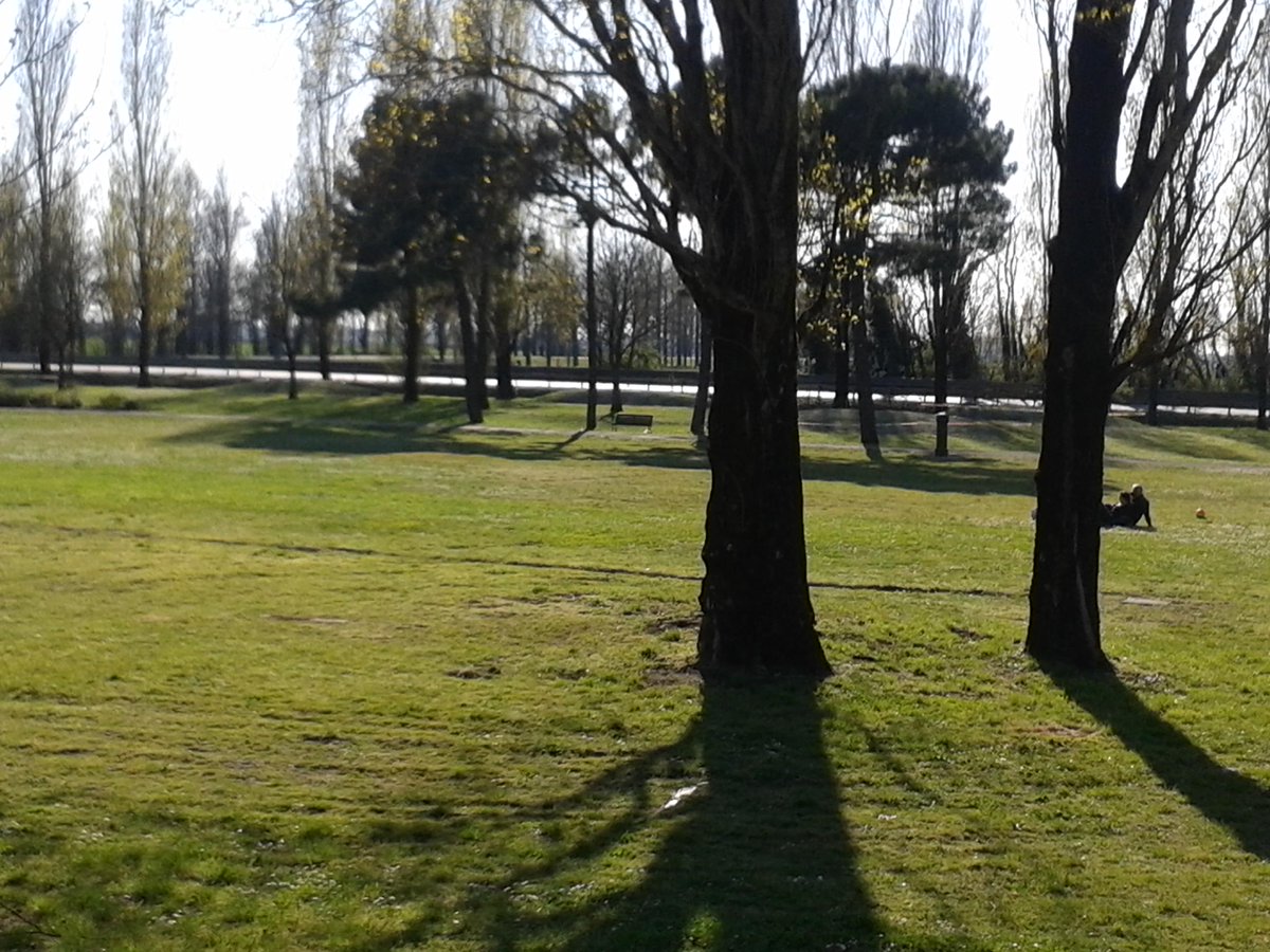 arc_lab_'s tweet photo. #pomposa si fa bella. http://t.co/9q3uynGW3p