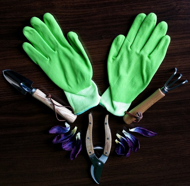 Permalien de l'image intégrée