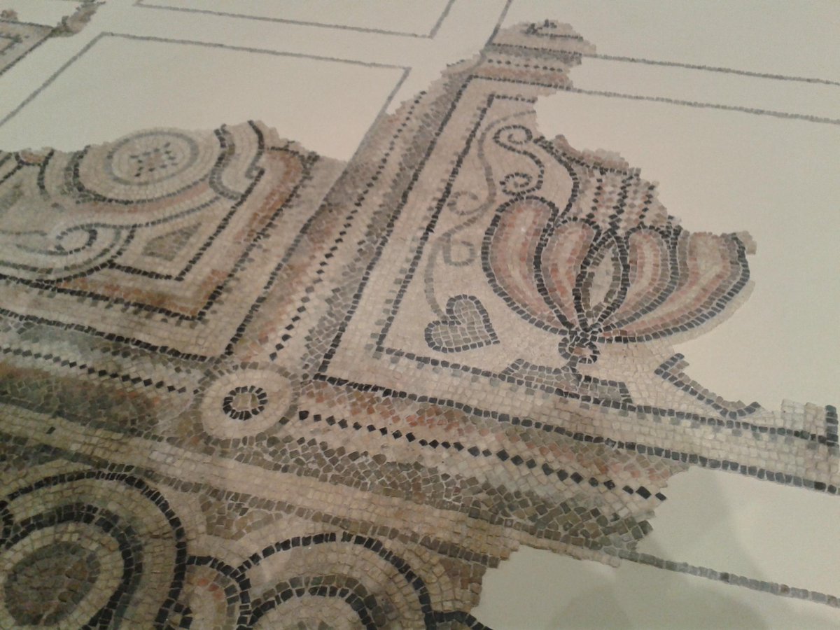 arc_lab_'s tweet photo. #magazzinidelsale #cervia esposti i mosaici di san martino prope litus maris. E' anche un po merito nostro http://t.co/kCXiqVlNi2