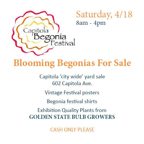 GoldenStateBulb's tweet image. GSBG Will be selling blooming Begonias for the Capitola Wide Yard Sale.  Limited plants, first come first serve.