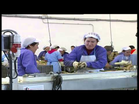 Alcalá del Valle celebrará la III Feria del Espárrago - elbaluartedecadiz.es/2015/04/alcala…