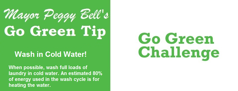 MayorPeggyBell's tweet photo. Go Green Challenge Cutler Bay #GoGreen #CutlerBay http://t.co/Lae66H91aj