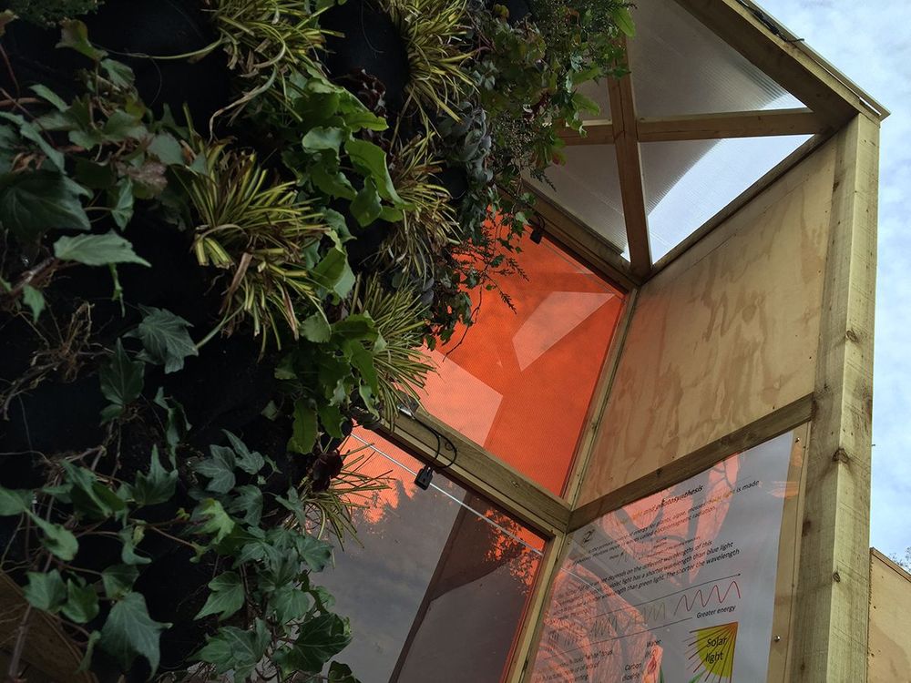 Fruits of labour: Cambridge researchers produce plant-powered bus stop
bit.ly/1yWVjpW