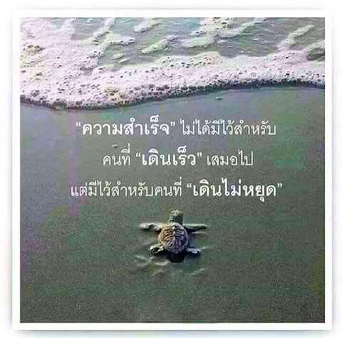 shell2551 tweet picture