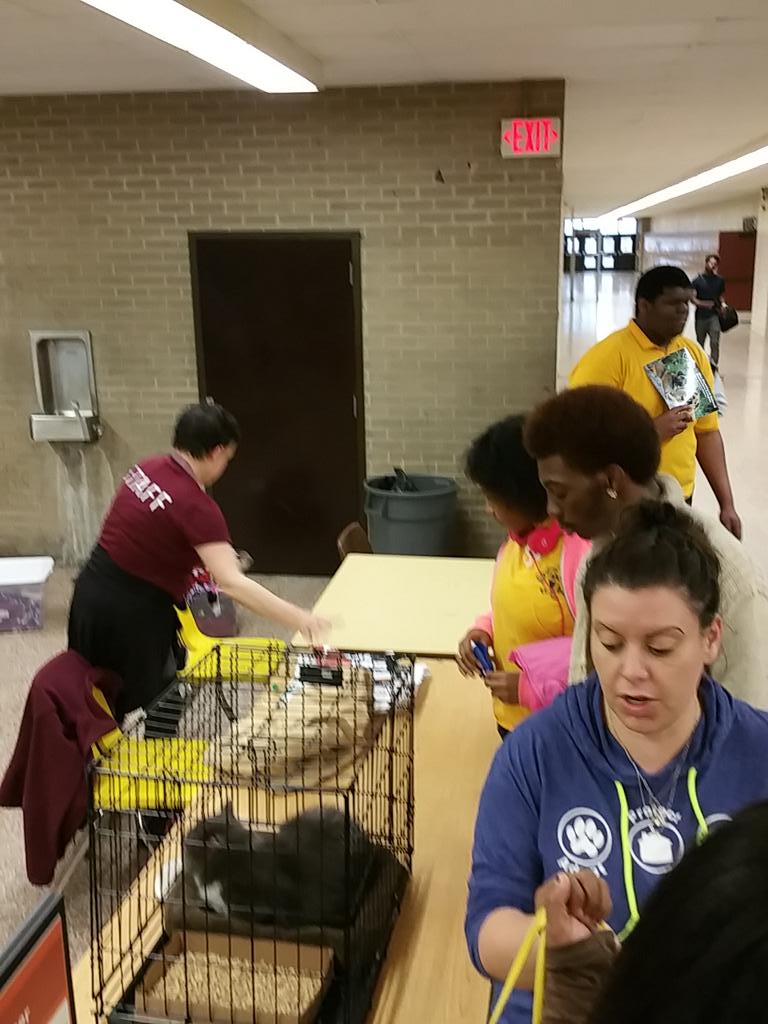 spreadlove4good's tweet photo. Cats and dogs at east tech for @ClevelandAPL team #SL4G #UnityDay http://t.co/s8sq5ykJFW
