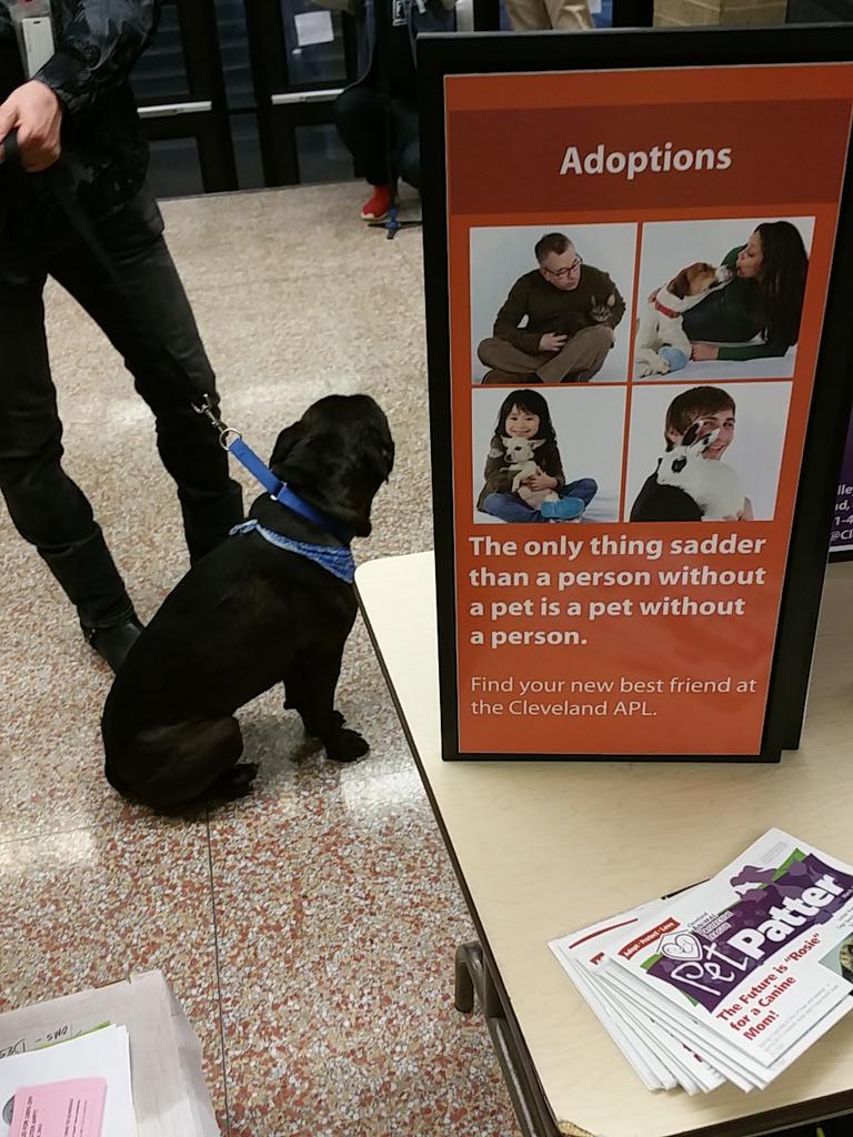 spreadlove4good's tweet photo. Cats and dogs at east tech for @ClevelandAPL team #SL4G #UnityDay http://t.co/s8sq5ykJFW