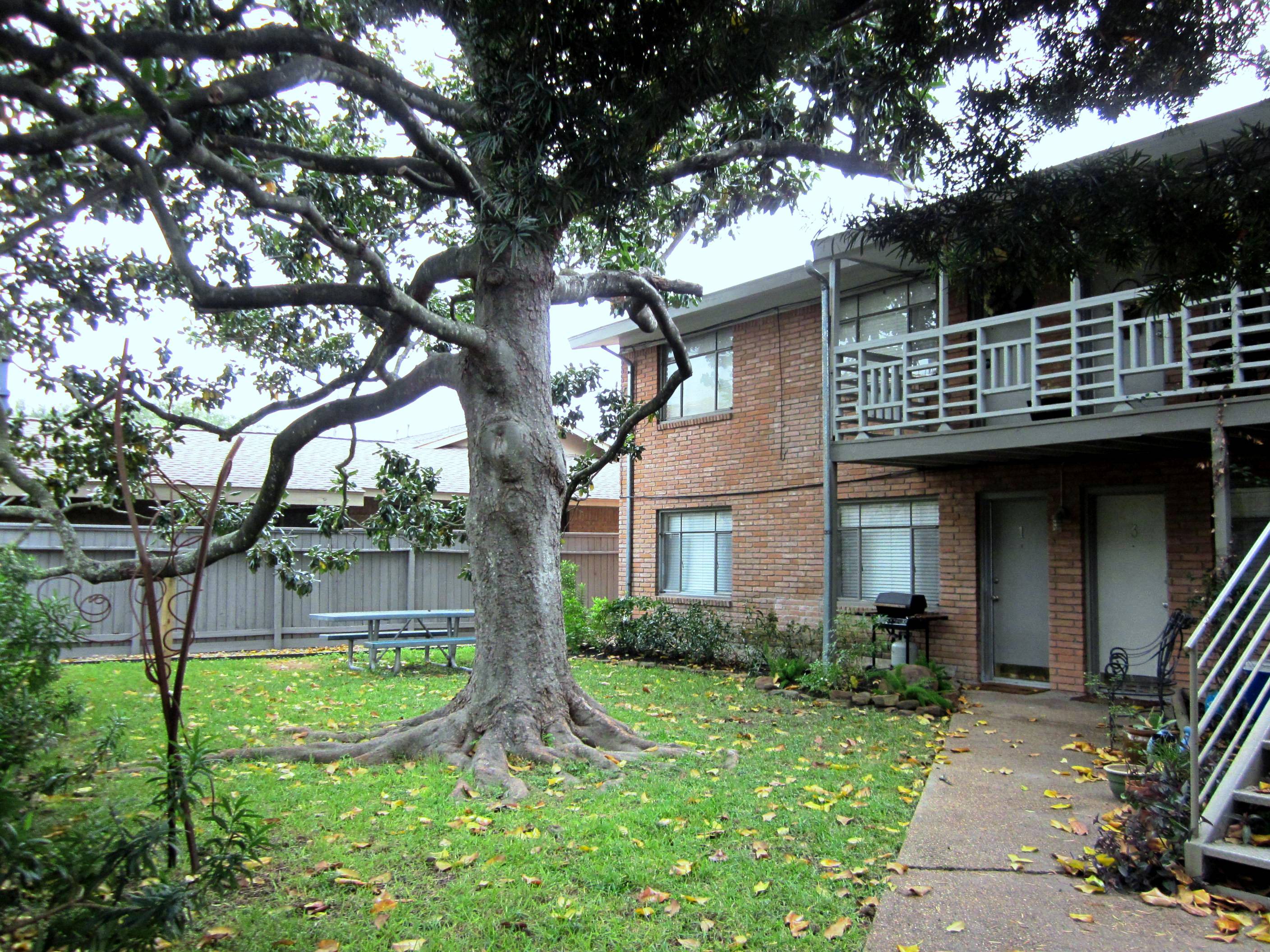 Medusa Properties (MedusaPropsHou) / Twitter