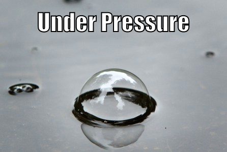 Permalien de l'image intégrée