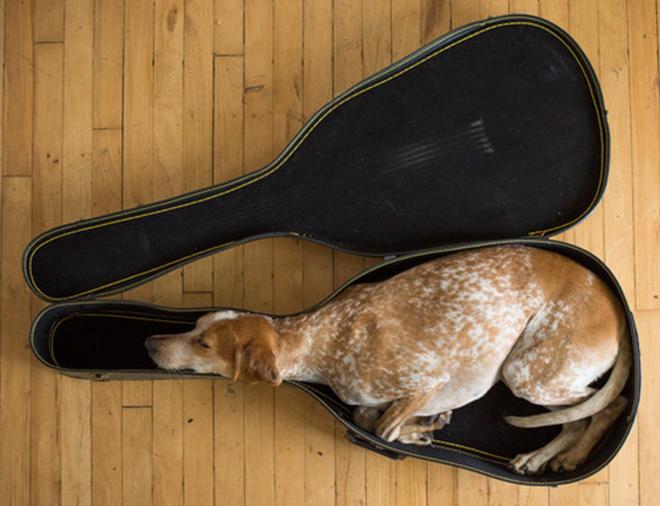 emocionante2's tweet photo. 10 Imágenes de mascotas en situaciones inusuales:
http://t.co/Xw9uLVxi2O http://t.co/clTxlciYq2