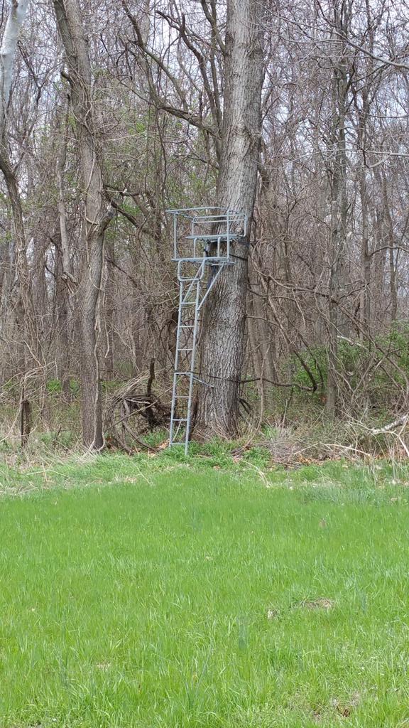 scwestgolf's tweet image. The broadcast tower behind the 11th green at Hail Ridge in Boonville.
#awesomecourse
