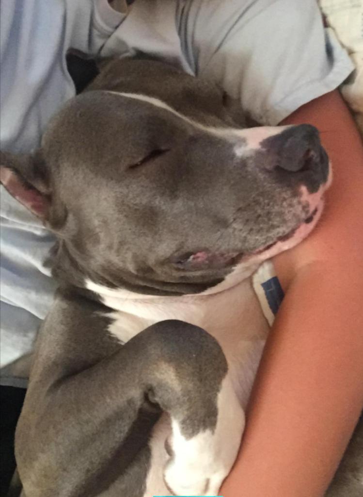 After a big day of turtle hunting by the river! It's cuddle time 😍