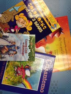 cp_library's tweet photo. Dual Language Immersion &amp; World Language Books in the @cp_library
#pefgrant #duallanguage #worldlanguage http://t.co/7umalCmbJL