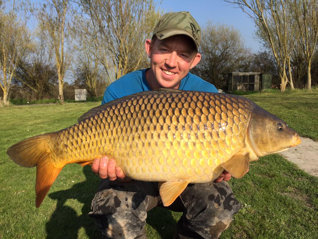 MarkBar26724694's tweet photo. Gotta love catching one after work #carpfishing #bigcommon #scaleperfect http://t.co/h1Rj39zJfZ