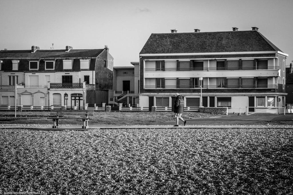 alainandrephot's tweet photo. #France #baiedesomme #noiretblanc #alainandre #alainandrephot #mer #plage #galet #picoftheday http://t.co/QeeNBQAjve