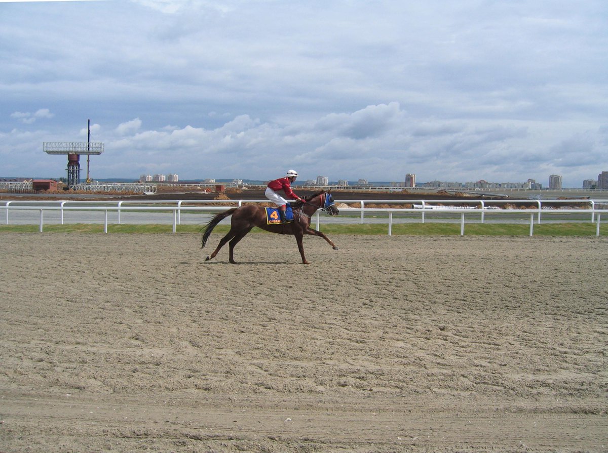 All weather #equestrian ground for the #horse #track #politrek