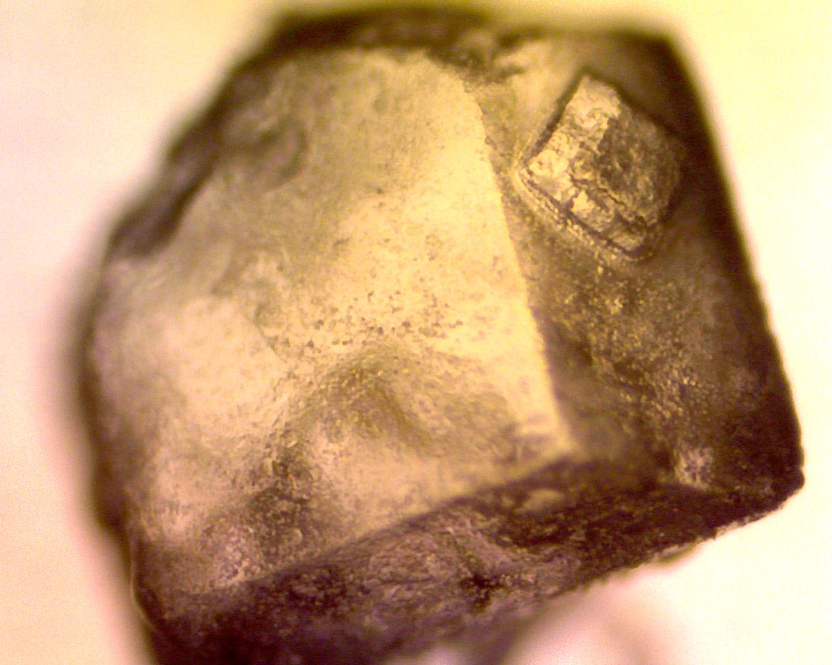 nmpanek's tweet photo. Sugar crystals look like luxurious bars of gold #UnderMyMicroscope http://t.co/R1PohczoVS