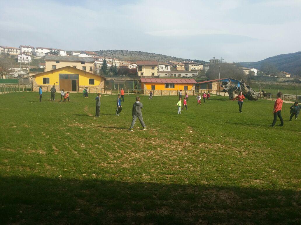 basabere tweet media