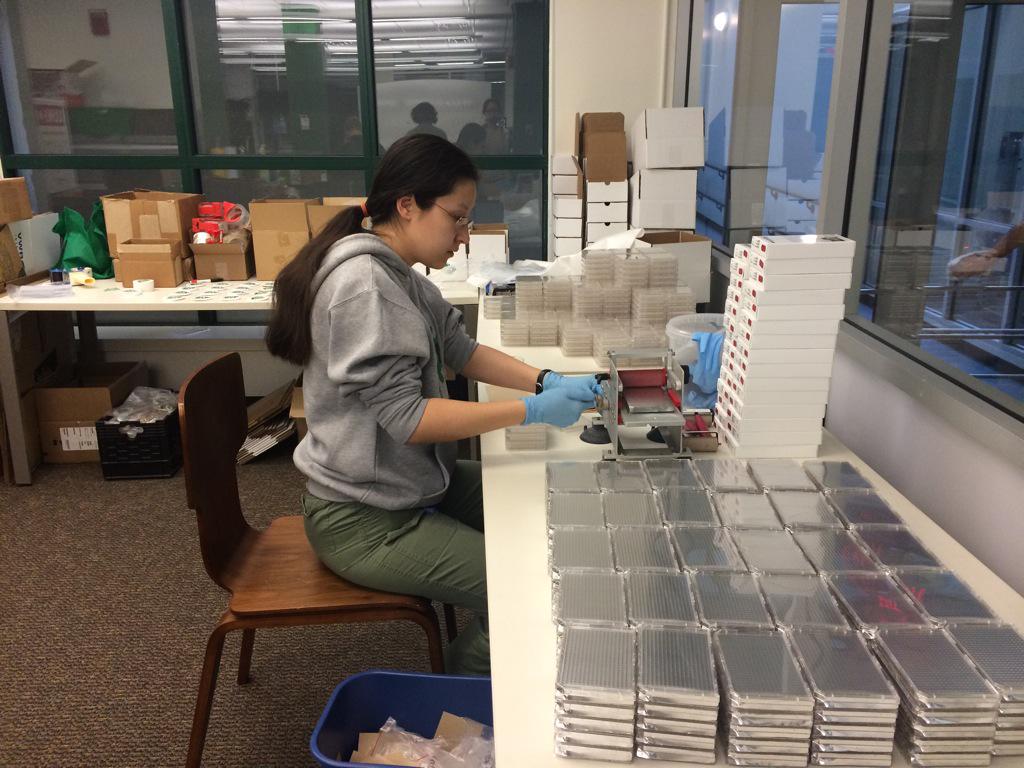 iGEM's tweet photo. All hands on deck packaging the #iGEM2015 #DNAdistribution with @anita_sifuentes @KimdeMora @Kelly_iGEM! #iGEMHQ http://t.co/hPVOCpvN9Z